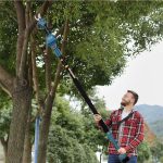 25mm Cordless Pruning Shears 21V with 2m high pole