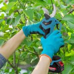 35mm Cordless Brushless Pruning Shears 21V 300W