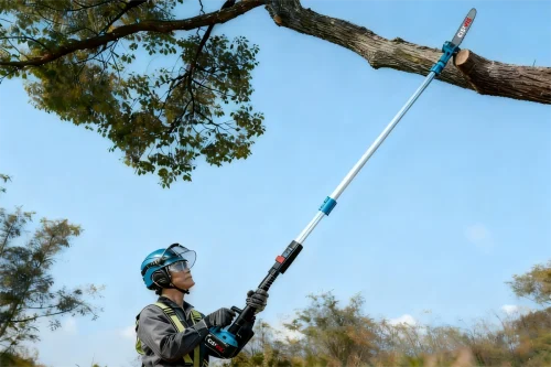 Pole Chainsaw: Top Picks for Tree Trimming