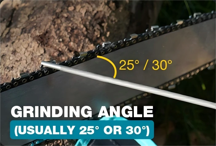 Illustrates the typical grinding angles (25° or 30°) for a chainsaw chain, essential for maintaining cutting efficiency.